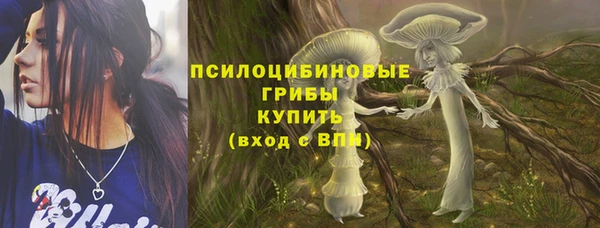 прущие крисы Арсеньев