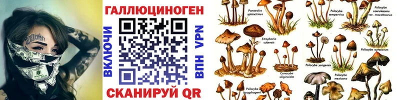 Псилоцибиновые грибы прущие грибы  Купить где  Козьмодемьянск 